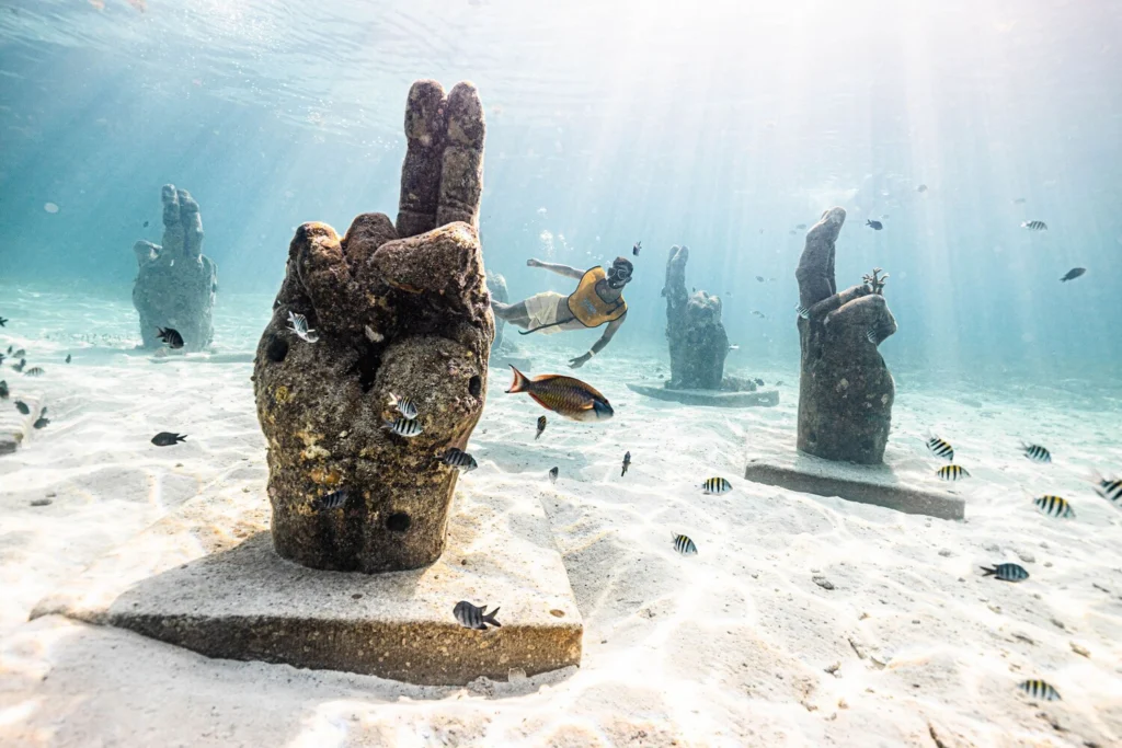 5 in 1: Snorkel, Turtles, Reef, MUSA & Shipwreck