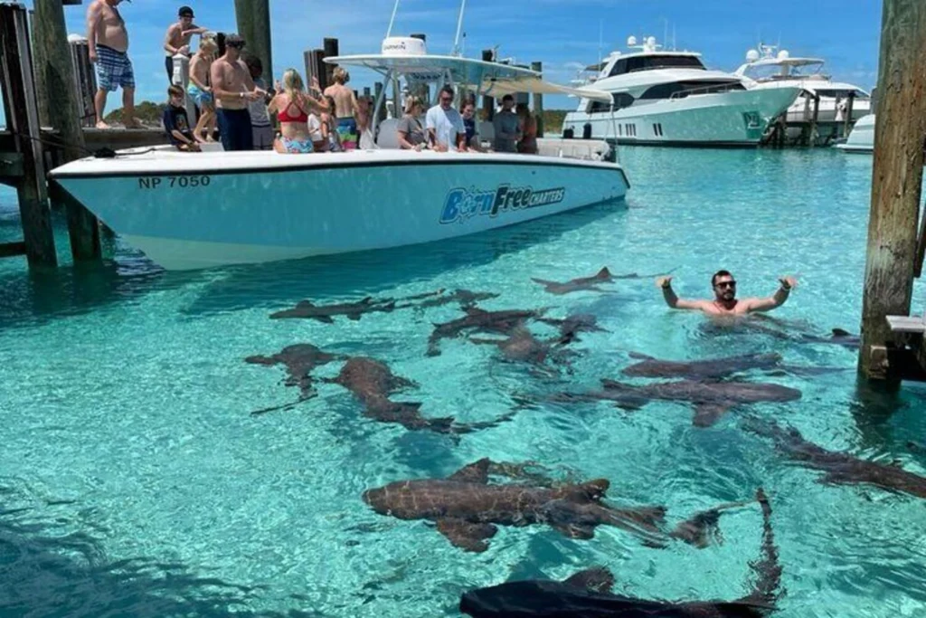 Exuma Island Hopping and Swimming Pigs from Nassau