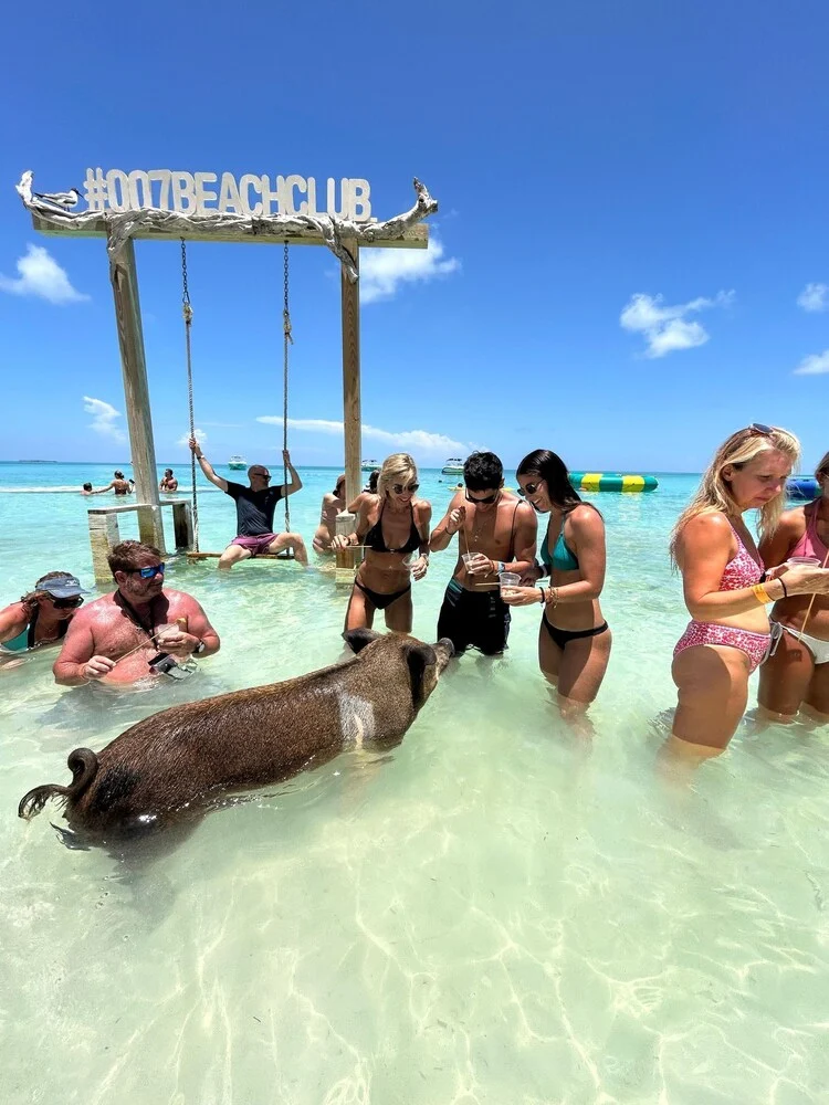 Nassau: Pigs, Snorkel, Turtles, Lunch & Private Beach Club