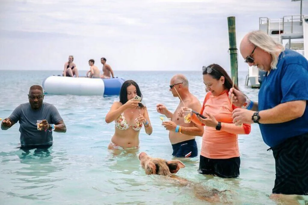 Swimming Pigs of Rose Island: Water Taxi & Turtle Viewing