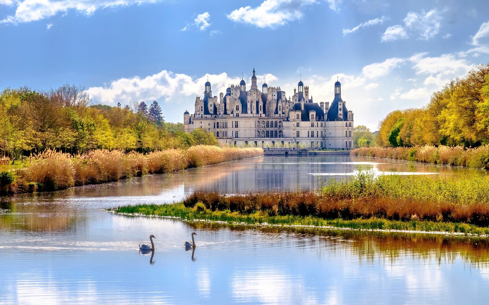 Loire Valley Castles & Wine Tasting Day Trip