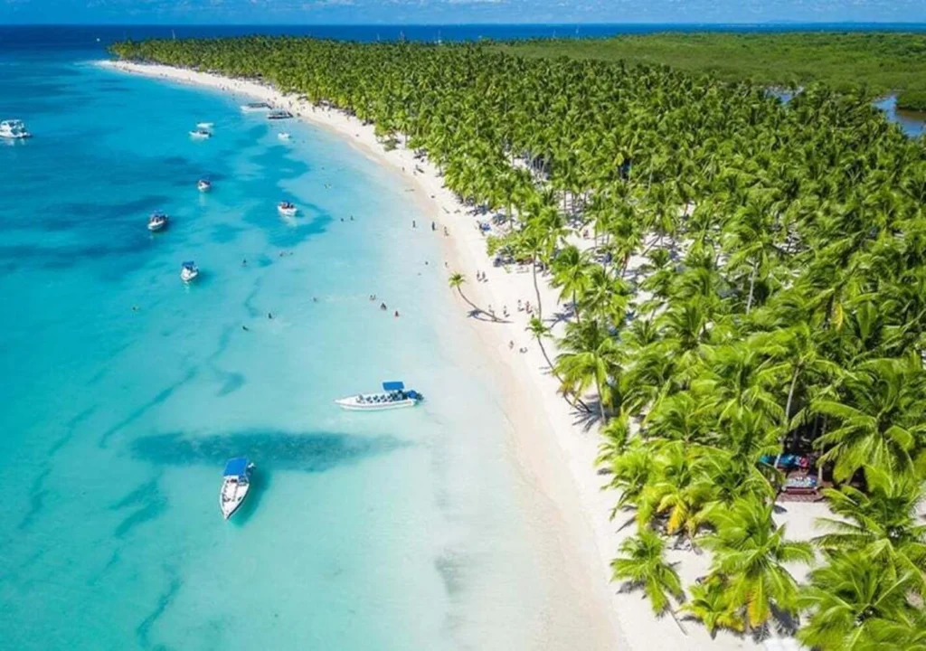 Saona Island: Beach & Natural Pool Small-Group Tour