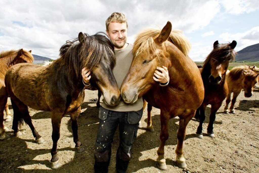 Icelandic Horseback Riding Tour with Reykjavik Pick-Up
