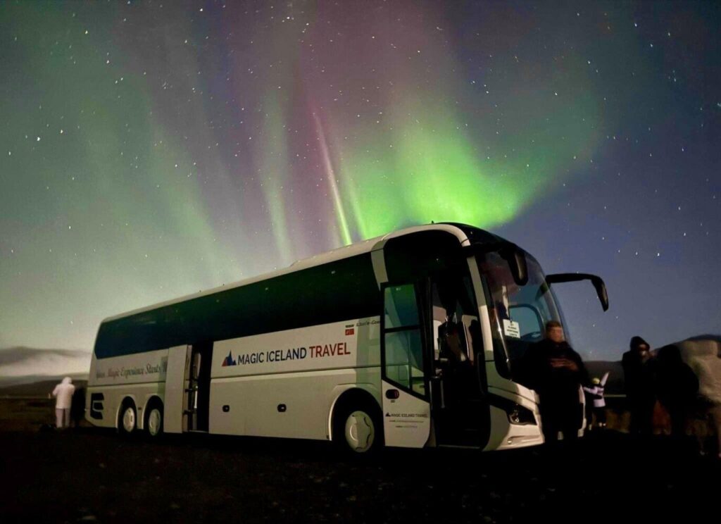 Northern Lights Coach Tour with Local Hunters