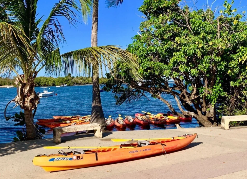 Fajardo: Bioluminescent Lagoon Kayak Tour
