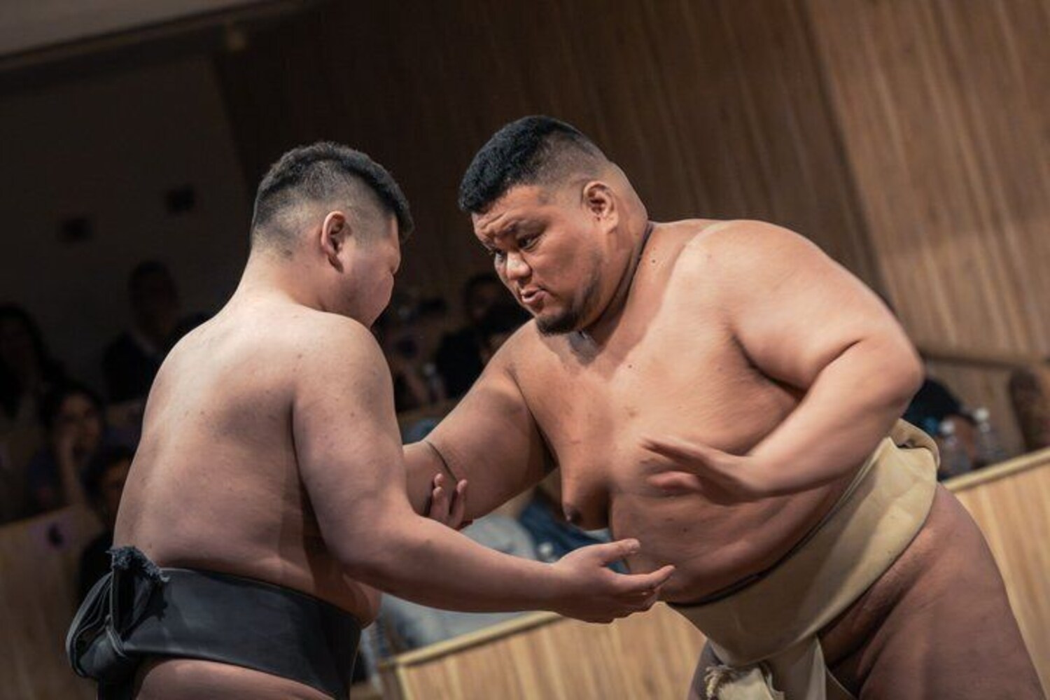 Tokyo Shinjuku Sumo Show & Experience with Photo